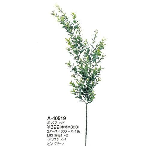 ASCA アスカ ボックスウッド【価格変更】 (A-40519-51A)【入数:24】