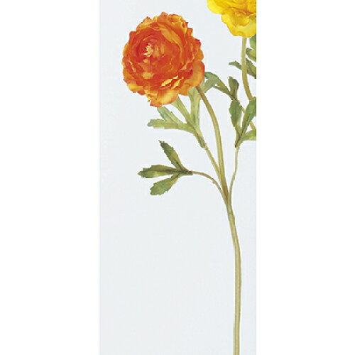 ASCA アスカ ラナンキュラス【価格変更】 (A-31841-30)【入数:12】