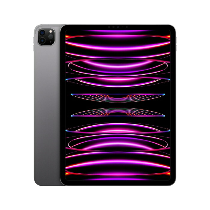 APPLE アップル MNXH3J/A APPLE iPad Pro iPadOS 16 11.0型（インチ） 2388×1668 Apple M2 8GB SSD 512GB Wi-Fiモデル Bluetooth v5.3 400～500g グレー系