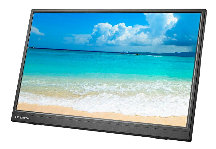 IODATA アイオーデータ LCD-YC172AX 17.3型フルHD対応モバイル液晶 1920×1080 miniHDMI USB タイプC×2 28,042円