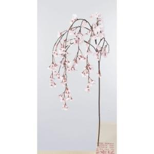 ASCA アスカ しだれ桜×182 つぼみ×3 (A-33743-13)【入数:6】|ECJOY!店