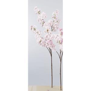 ASCA アスカ 桜×448 蕾×12 (A-33744-1P)【入数:6】