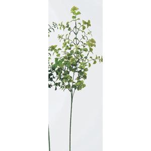ASCA アスカ ボックスウッドベリースプレー【価格変更】 (A-41226-53A)【入数:24】|ECJOY!店