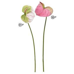 ASCA アスカ アンスリウム【価格変更】 (A-33892-51P)【入数:24】