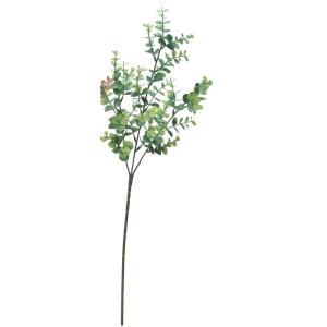 ASCA アスカ ユーカリスプレー【価格変更】 (A-43449-51A)【入数:12】 6,322円