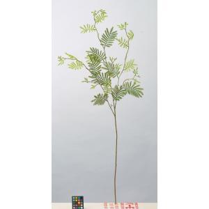 ASCA アスカ ミモザリーフスプレー ライトグリーン (A-43699-52B)【入数:12】｜ECJOY！店