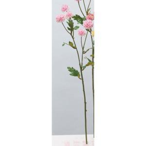 ASCA アスカ ポンポンマム×5 ピンク (A-34471-3)【入数:24】|ECJOY!店