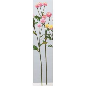 ASCA アスカ ポンポンマム&times;5 クリームピンク (A-34471-3C)【入数:24】｜ECJOY！店 11,380円