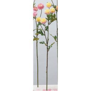 ASCA アスカ ポンポンマム×5 イエローピンク (A-34471-10P)【入数:24】|ECJOY!店