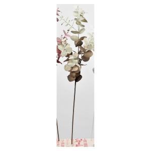 ASCA アスカ ユーカリ グレイブラウン (A-43479-63B)【入数:12】|ECJOY!店