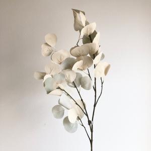 ASCA アスカ ユーカリ グレイ (A-43540-63)【入数:12】