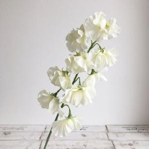 ASCA アスカ スイトピー×9【価格変更】 (A-34347-1)【入数:24】|ECJOY!店