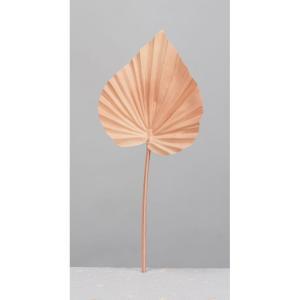ASCA アスカ パームリーフ オレンジ色皮膚軟化剤 (A-44224-30C)【入数:36】 花・観葉植物-造花・人工観葉植物-花・ガーデン・DIY