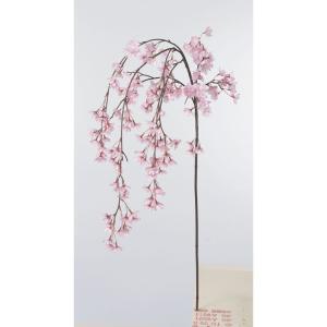 ASCA アスカ しだれ桜×182 つぼみ×3 (A-33743-3)【入数:6】|ECJOY!店