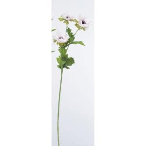 ASCA アスカ アネモネ×3 (A-33724-13)【入数:12】