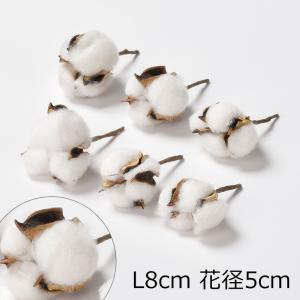 ASCA アスカ コットンポッド(1袋6コ入) (A-33781-44)【入数:24】