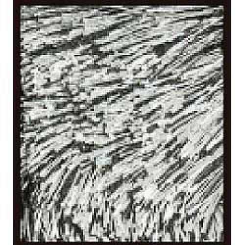 スミノエ(Suminoe) NGL10/200X200 ラグ ネオグラス(200×200cm/ブラック)【日本製】