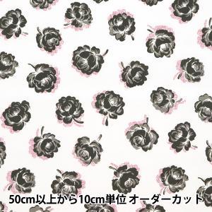 MIPW0RK6603 型番:MIPW0RK6603