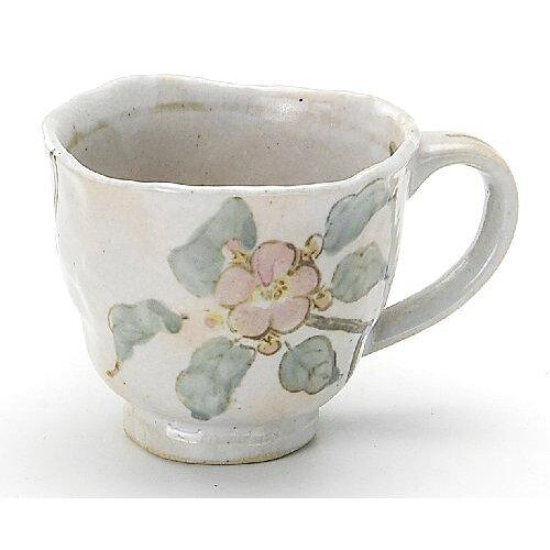 ブルーム ≪メーカー取寄≫御本手木の実 マグカップ [日本製 美濃焼 食器] 箱入り (-)【入数:40】