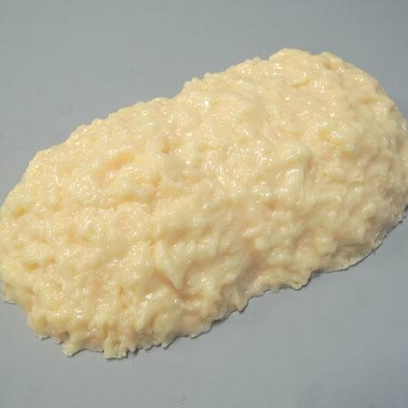 COMOLIFE コモ耐用年数 脂肪組織ひな形 3kg (0272bl) 知育玩具・学習玩具-その他-おもちゃ