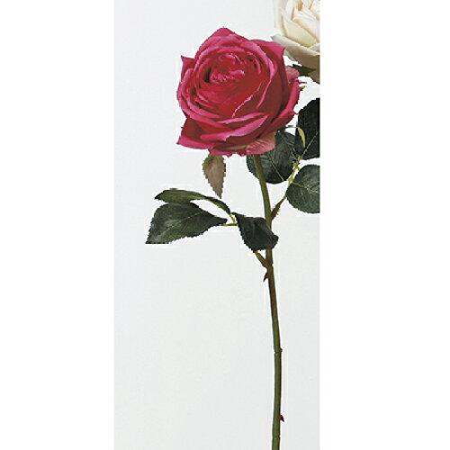 ASCA アスカ 【価格変更】ローズ (A-31829-022)【入数:12】