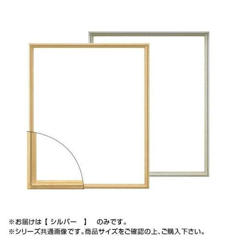 大額(Daigaku) 大額 デッサン額 7517 半切 シルバー (2064145)｜ECJOY！店
