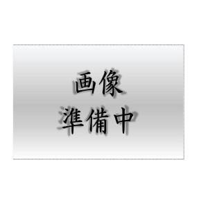 TOSHIBA 東芝 ＴＥＮＱＯＯ人並み外れた灯４０形直付 LEETJ-41202-LS9