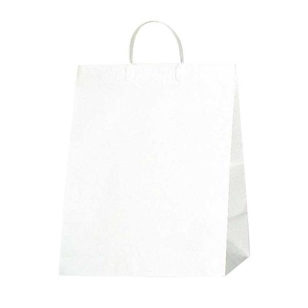シモジマ(shimojima) ワイドバッグ Nホワイト M 10枚入 006460801 (1216949)