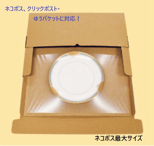 酒井舎密学実業 写真フィルム付き添い人荷造り材 ミナ相応う  ネコポス相応う大きさ 室内装飾パッティング X 外箱書き割り お得な100書き割り 1186942