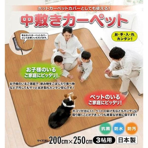 明和グラビア印刷 ホットカーペットカバーとしても使える!!雨合羽中敷き引っ敷き BR(肌理) AHW-1003 HH 200cm×250糎 3帖用 (1075019)