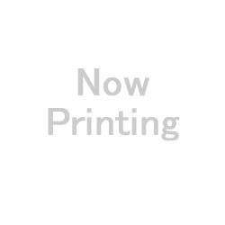 LENOVO レノボ 21SH000VJP Lenovo ThinkBook 16 Gen 8 Windows 11 Pro 16.0~16.9型(インチ) Core i7 メモリ16GB SSD 256GB 1920×1200 Webカメラ有り Bluetooth v5.2 Office無し 1.6~2.0kg グレー系|ECJOY!店