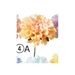 ASCA アスカ ダリアピック アプリコット (A-34808004A)【入数:36】