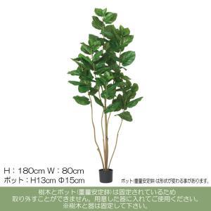 ASCA アスカ ウンベラータ(ポット付)【造花観葉樹】 (A-51028-051A)|ECJOY!店