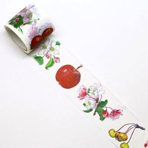 カミイソ産商 マスキング磁気テープ りんごの木の花と実 (GR0024)【入数:20】