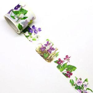 カミイソ産商 マスキング磁気テープ 相撲取り草 (GR0029)【入数:20】