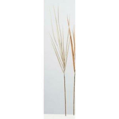ASCA アスカ グラススプレー (A-44251-008)【入数:12】