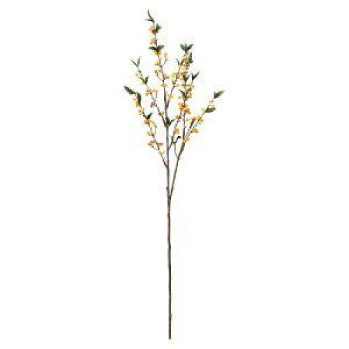ASCA アスカ ベリースプレー (A-47988-010)【入数:12】｜ECJOY！店
