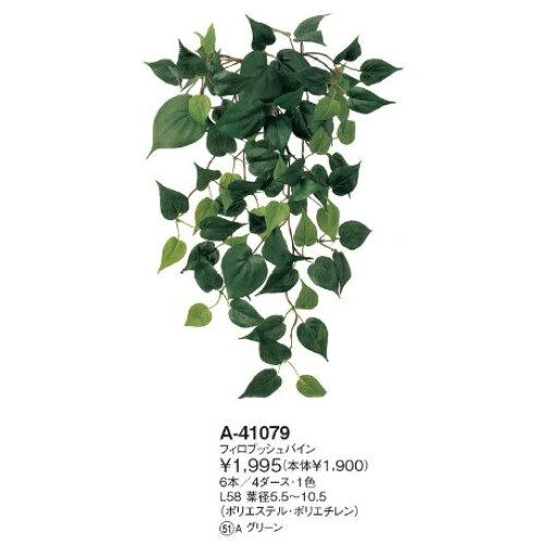 ASCA アスカ フィロブッシュバイン (A-41079-051A)【入数:6】