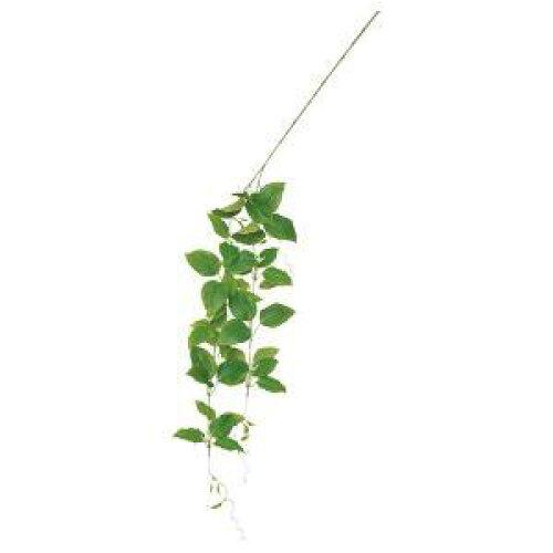 ASCA アスカ クレマチスハンギングスプレー (A-43702-051A)【入数:12】|ECJOY!店