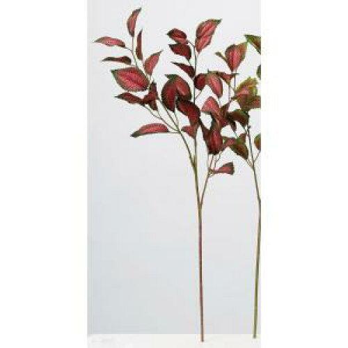 ASCA アスカ リーフスプレー (A-44301-015G)【入数:24】｜ECJOY！店 14,619円
