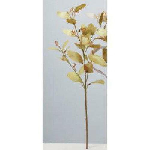 ASCA アスカ ユーカリスプレー (A-44304-010B)【入数:24】｜ECJOY！店 15,550円