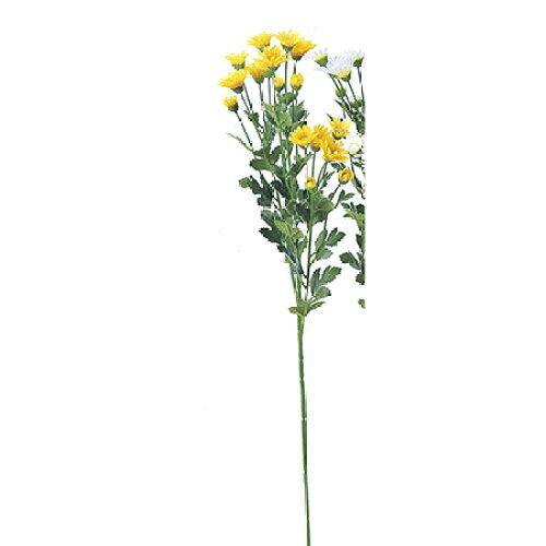 ASCA アスカ 小菊X18 (A-36097-010)【入数:12】