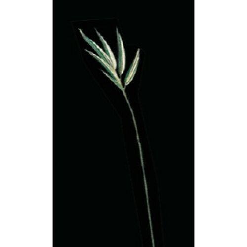 ASCA アスカ バンブーリーフ(S)(1袋12本入) (A-74384-053A)【入数:8】