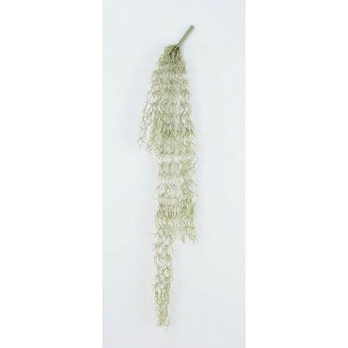 ASCA アスカ スパニッシュモス (A-40995-051F)【入数:12】｜ECJOY！店
