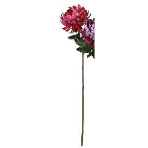 ASCA アスカ マム (A-73430-002)【入数:12】 花・ガーデン・DIY-花・観葉植物