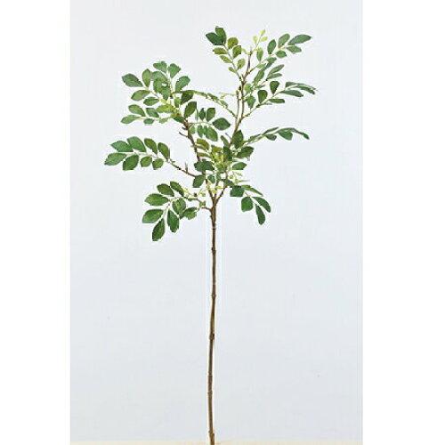 ASCA アスカ トネリコ (A-42647-051A)【入数:12】｜ECJOY！店