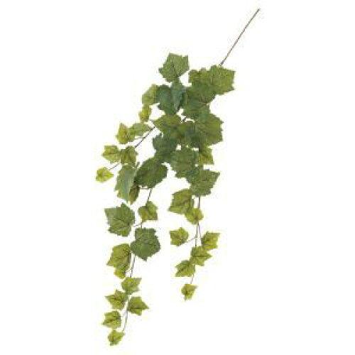 ASCA アスカ グレープリーフハンギングバイン (A-44325-051A)【入数:36】 花・ガーデン・DIY-花・観葉植物
