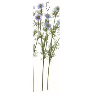 ASCA アスカ 【価格変更】ニゲラX3 (A-33910-009)【入数:12】｜ECJOY！店