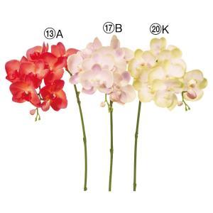 ASCA アスカ ミディコチョウラン×7 つぼみ×2 (A-35060-013A)【入数:24】|ECJOY!店