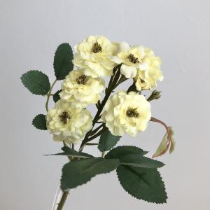 ASCA アスカ ポンポンローズ&times;8 (A-35138-020)【入数:24】｜ECJOY！店 7,937円